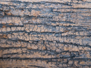 old wood Abstract background