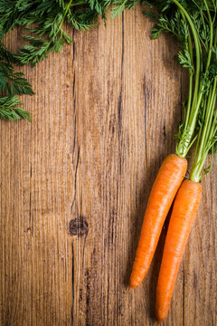 fresh carrots on a wooden background