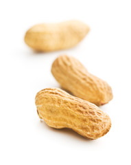 dried peanuts