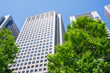 東京　品川　高層ビル　新緑 