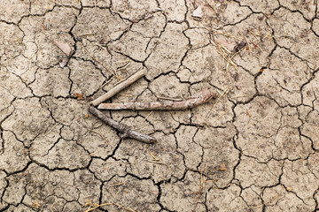 Dry land with the arrow made of dry twigs.