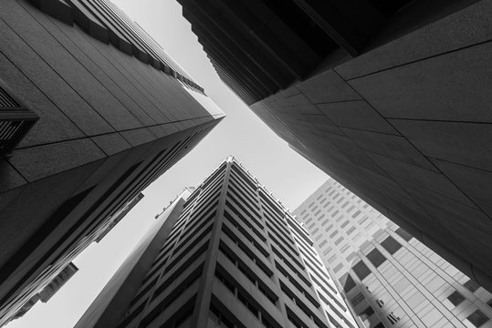 Adelaide skyscrapers in black and white