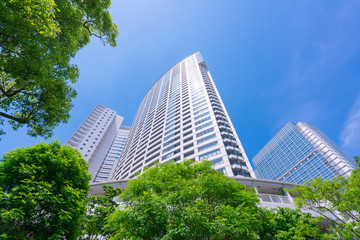 東京　品川　高層ビル　新緑