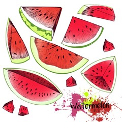 Vector set of color watermelon pieces. Juicy fresh organic fruit illustration. Couple of watermrlon slices, pyramides and quter. Hand drawn.