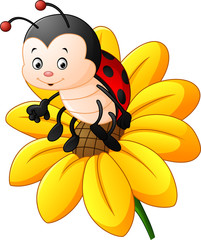 Fototapeta premium Cartoon ladybug on the sun flower