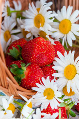 Basket of fresh ripe sweet strawberries with daisies