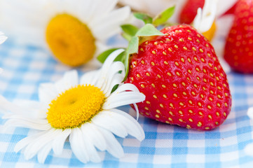 Basket of fresh ripe sweet strawberries with daisies