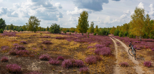 heide