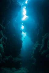 Fototapeta na wymiar cave diving