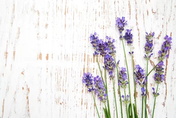 Photo sur Plexiglas Lavande lavender flowers