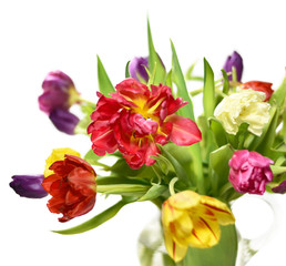 Bouquet of multicolored tulips, isolated on white background.