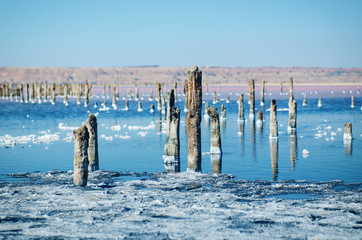 Beautiful salt lake with blue and pink water and wooden posts, natural landscape amazing background