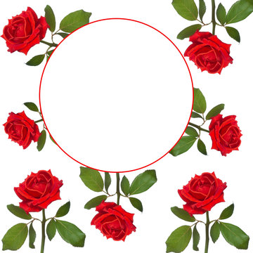 blank form for greeting cards red roses