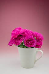 カーネーションの花