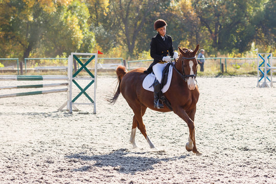 Young girl riding horse in equestrian competition