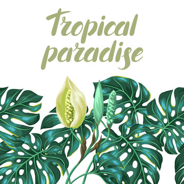 Seamless pattern with monstera leaves. Decorative image of tropical foliage and flower. Background made without clipping mask. Easy to use for backdrop, textile, wrapping paper