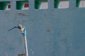 Old rusty water tap and leaking with blue cracked concrete background
