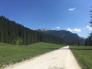 Fototapeta premium droga