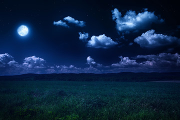 prachtig zomers landschap, maanverlichte nacht op de natuur