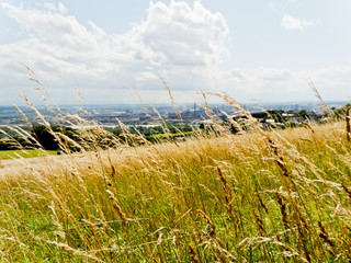 Feldweg am Waldrand mit Blick auf Linz und die Donau