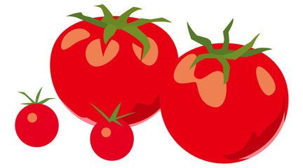 真っ赤なトマトとプチトマトのイラスト