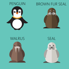Abstract illustration with sea animals set, a penguin, walrus, brown fur walrus and seal, over a green background. Digital vector image.