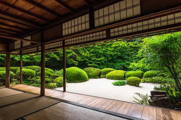 Naklejka premium Kioto świeży zielony wiersz