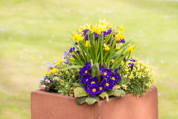 Rectangular flower pot in a park