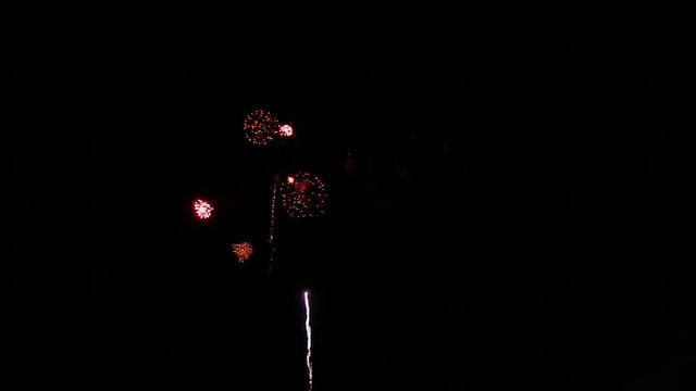 打上花火 千輪菊 長野えびす講 Nagano Ebisukou fireworks festival