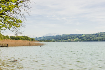 Beinwil, Dorf, Meisterschwanden, Hallwilersee, See, Seeufer, Seerundfahrt, Wassersport, Wanderweg, Spazierweg, Sommer, Schweiz