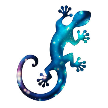 Gecko galaxy, lizard