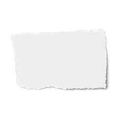 Obraz premium White paper tear placed on white background