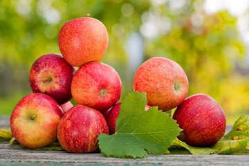 Apples