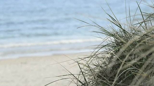 Einsamer Strand an der Ostsee in Polen
