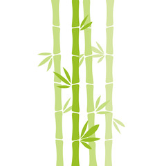Bamboo vector illustration isolated on white background.