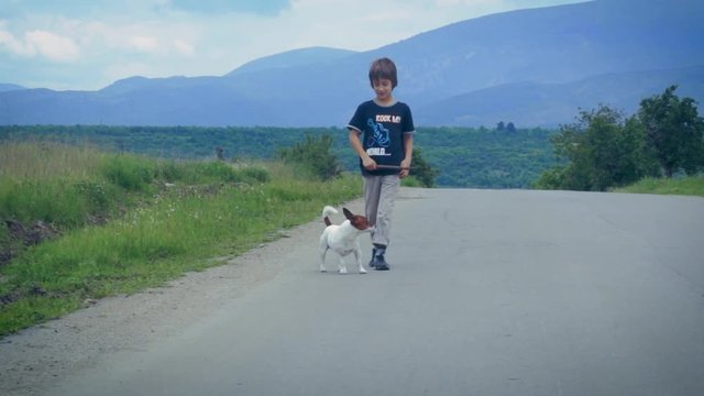 Boy and dog walking on the road