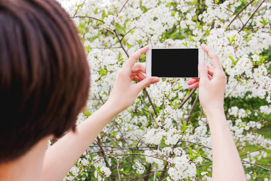 Woman takes photos of cherry blossom on a smartphone. Spring natural background, good for mock up.