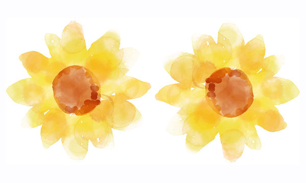 water-flower00