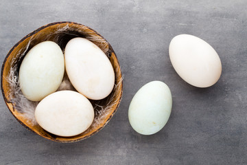  Duck eggs on a cage gray background.
