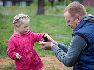 Man shows girl small chicken. Father and daughter. The village, village houses background, green grass. Girl petting chick 