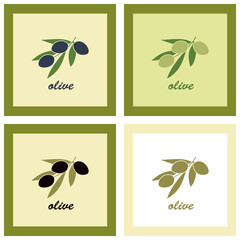 Set of four banners on the theme of olives.Green olive design el