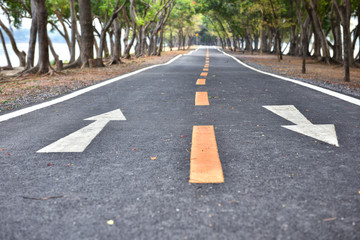 Obraz premium Bike lane with white arrow sign marking on road surface in the park for giving directions
