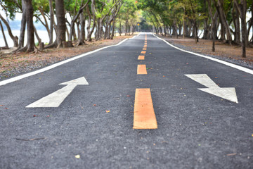 Bike lane with white arrow sign marking on road surface in the park for giving directions