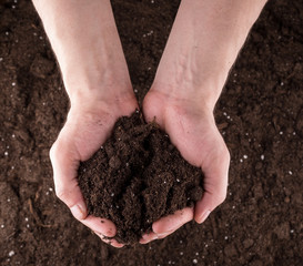 Soil in hands