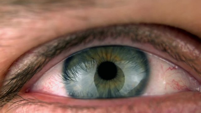 Closeup of an blue/green eye

