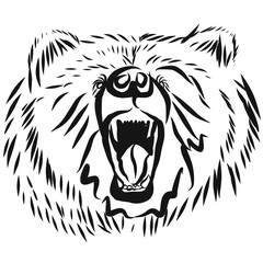 Fototapeta premium grizzly bear head, rearing angry pose