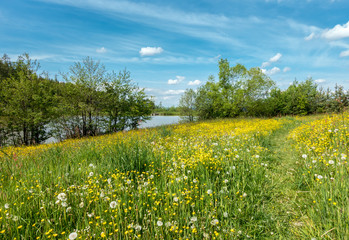 Spring meadow path around pond under blue sky