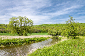 Plakaty  Wiosenny krajobraz z zieloną łąką, rzeką i drzewami
