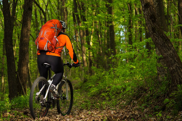 Fototapeta premium Cyclist Riding the Bike on a Trail in Summer Forest