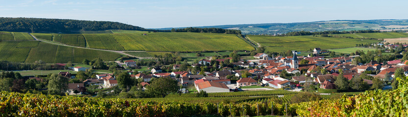 Arrentieres, Champagne vineyards in the Cote des Bar area of the Aube departm